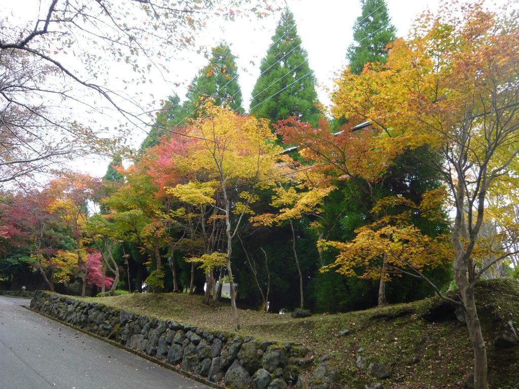 Pension Bell Bird Aso Exterior photo